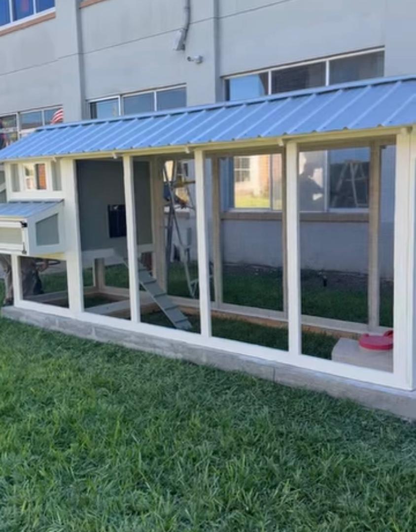 Chicken Coop