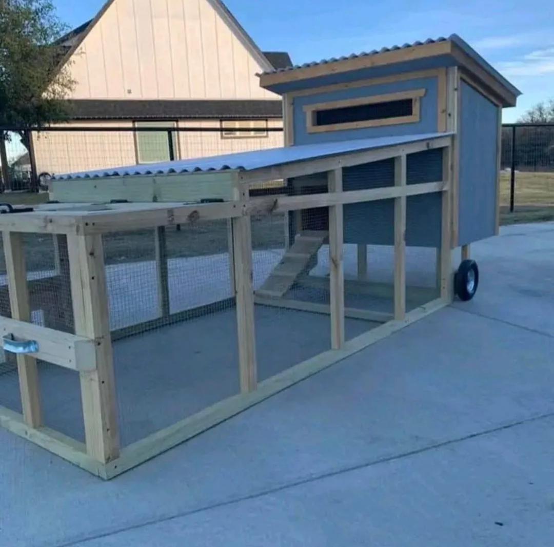 Chicken Coop