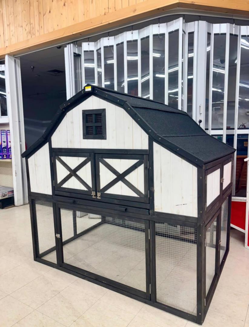 Chicken Coop