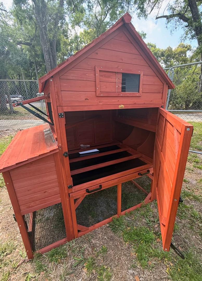 Chicken Coop