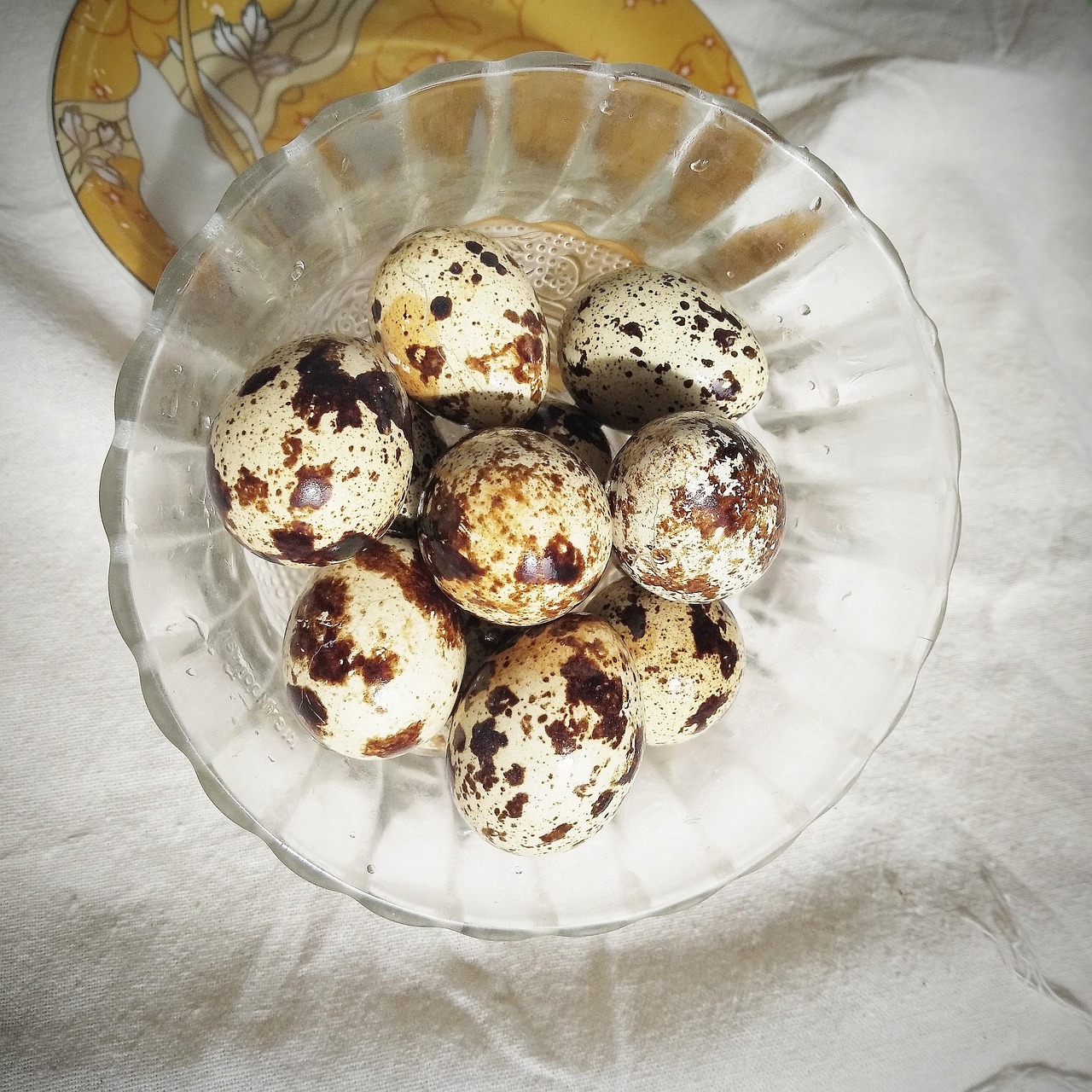 Nutrient-Dense Quail Eggs (100 Pack)