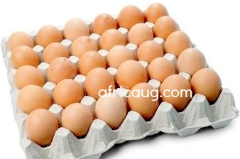 Fertilized Broiler Eggs (Crate)